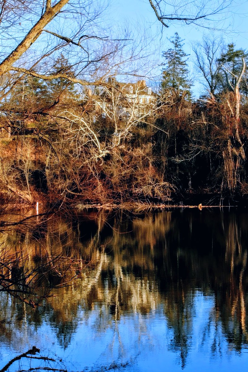 PrayerfulMantis's tweet image. Beautiful night down by the creek for photos, prayer, and self #reflection.