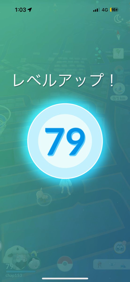 ちゃぴこ🌸 tweet media