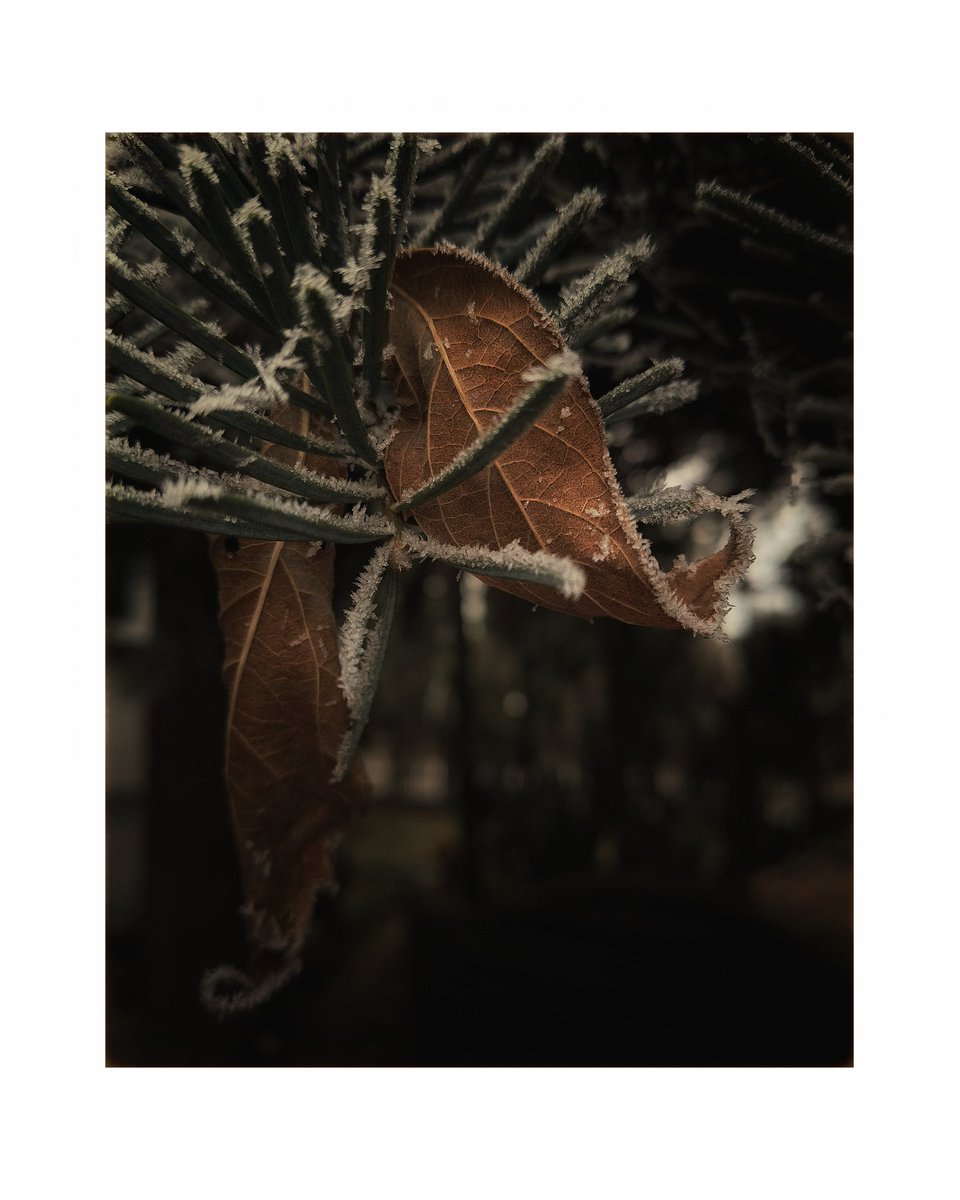 between the seasons...