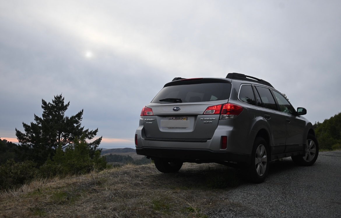 bitchassdeer . tweet media