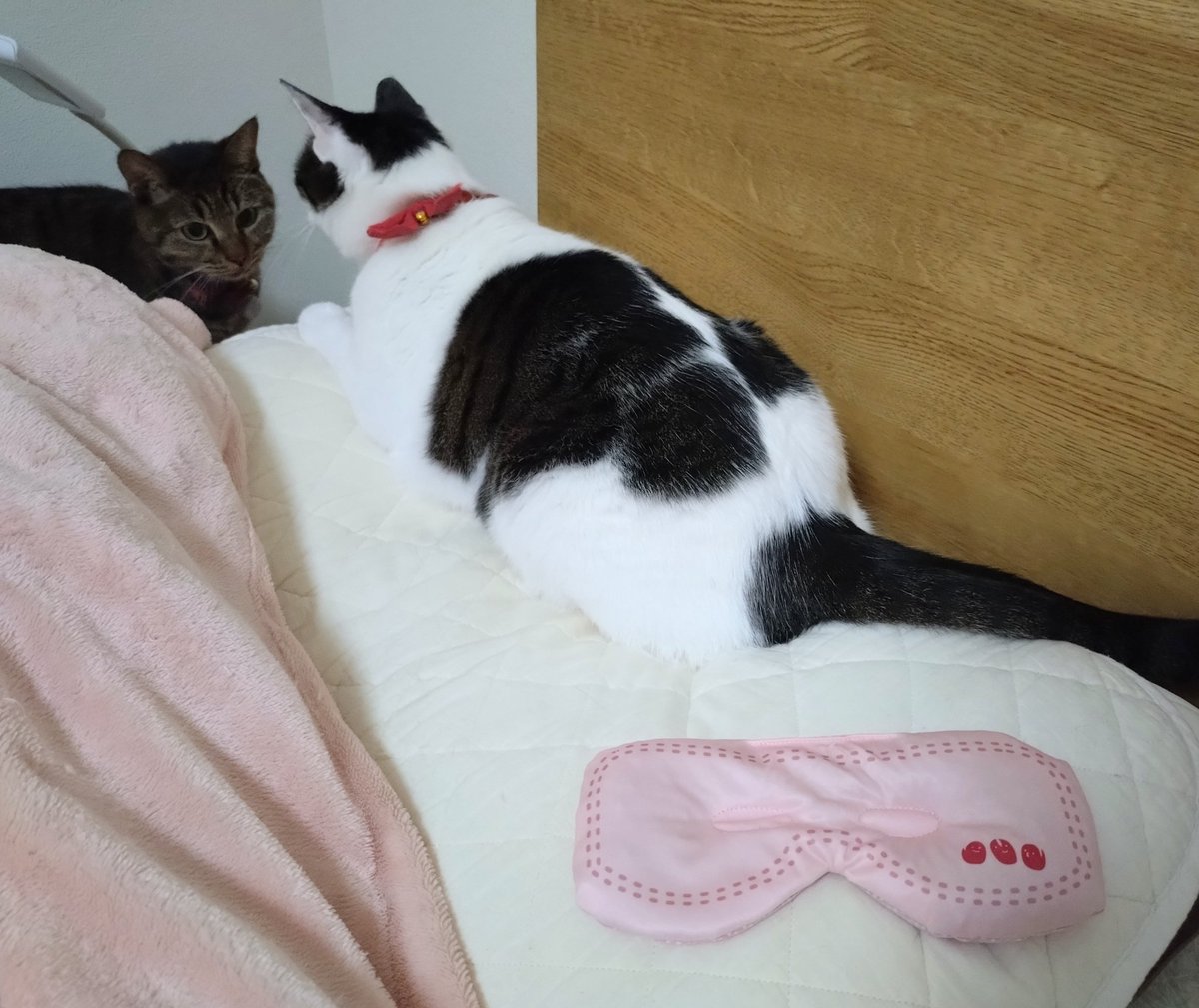 みぃ (@Js4zeKqmJxbnVBS) / Posts / X