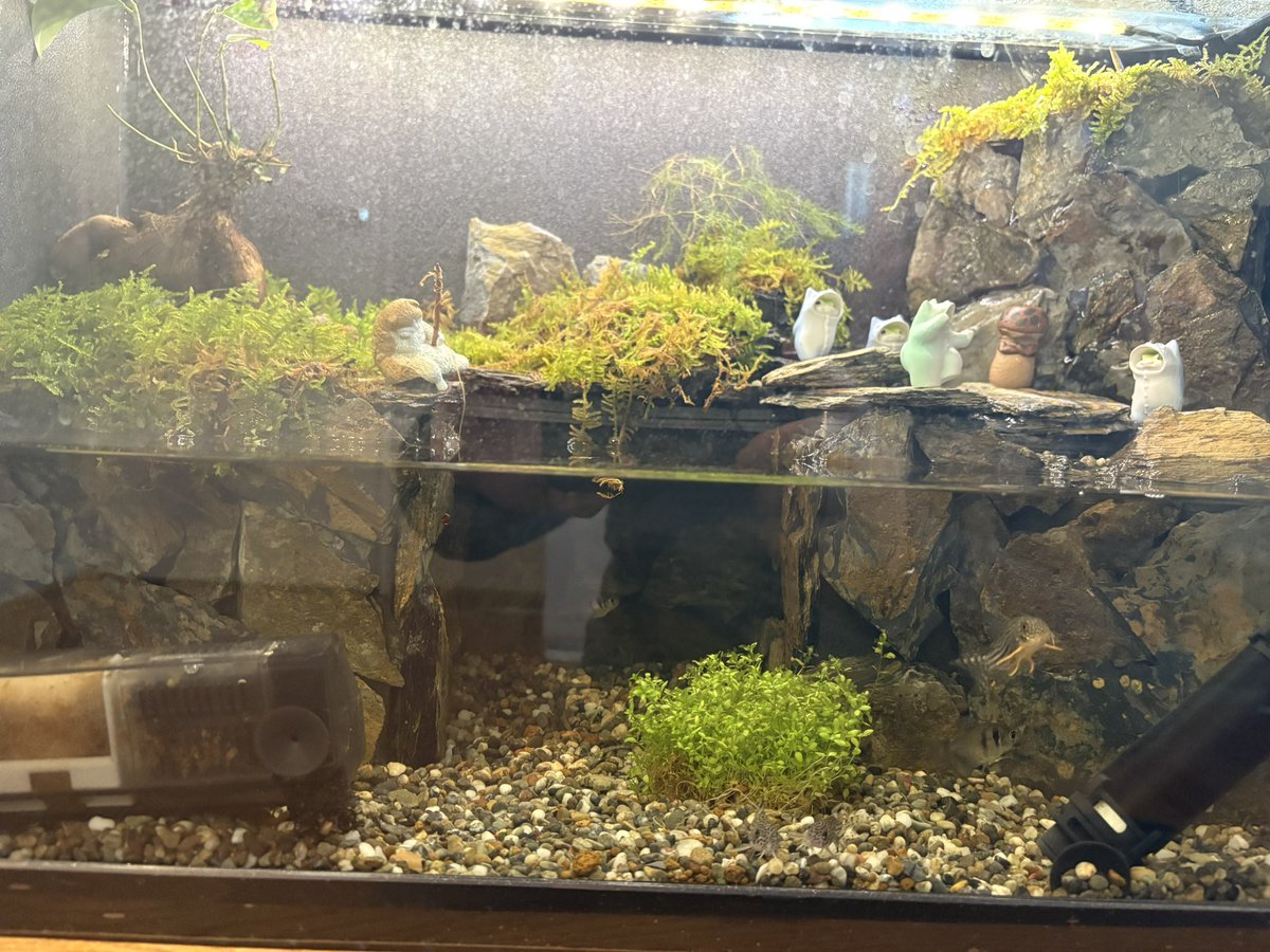 フナッチ！ゼロング応援隊隊長！ tweet media