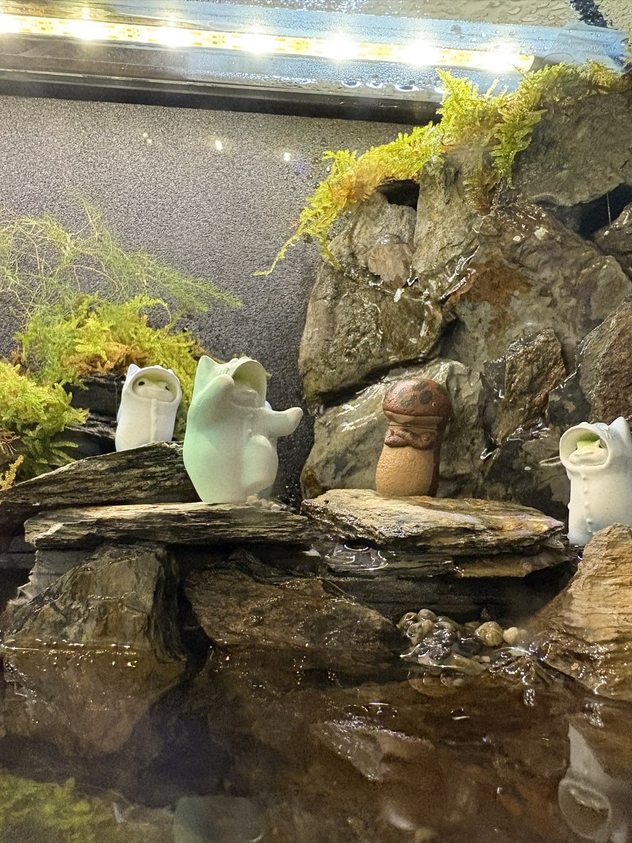 フナッチ！ゼロング応援隊隊長！ tweet media