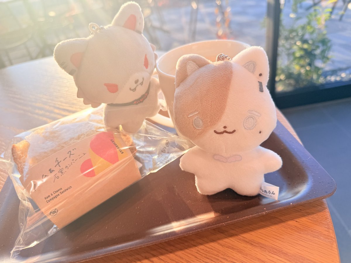 たかにゃん たかにゃん (@takanyan_1120) / Posts / X