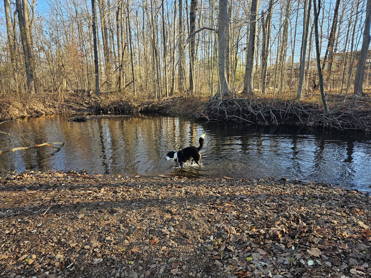 narcitheus's tweet image. Saturday walk