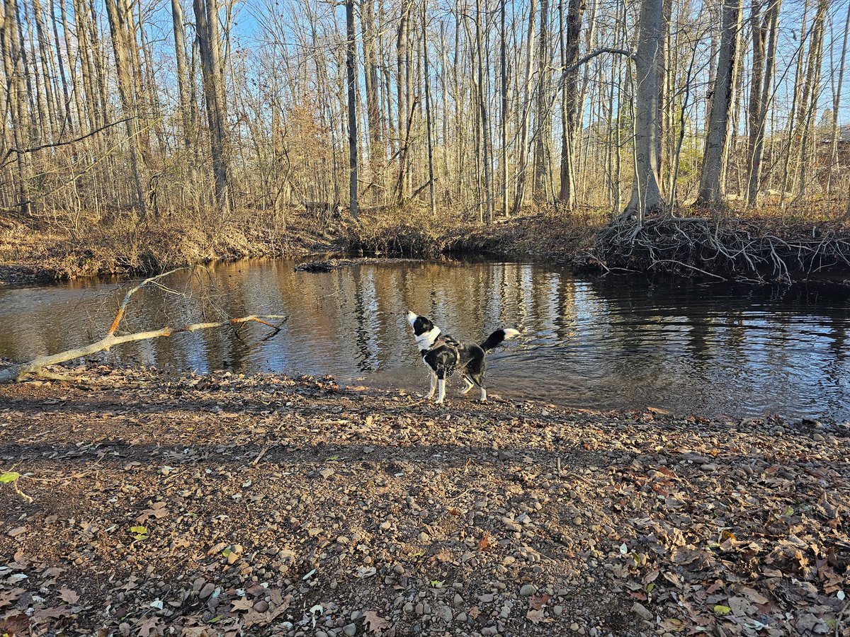 narcitheus's tweet image. Saturday walk