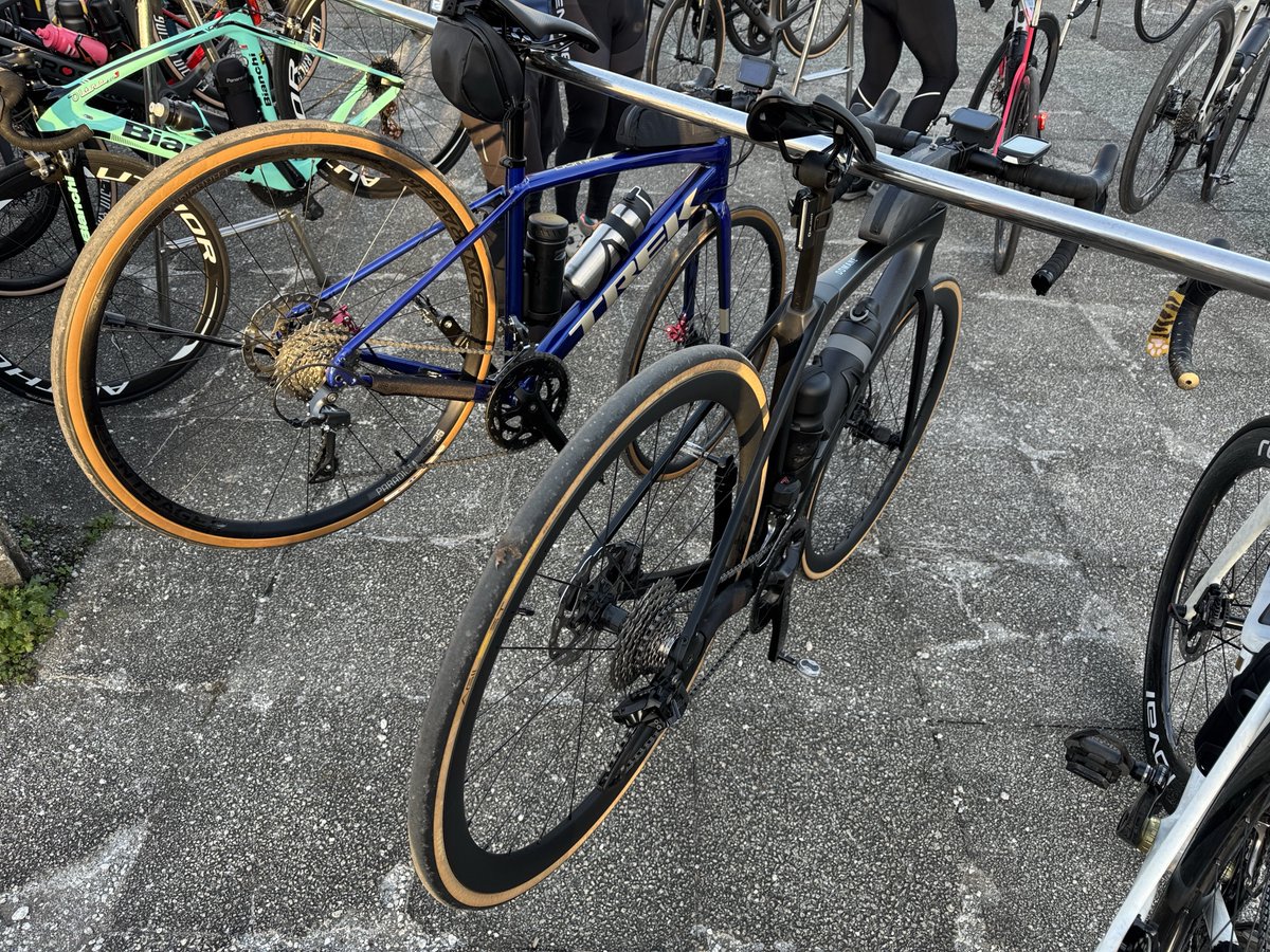 今日は霞ヶ浦を1周するいばらきK1ライドに初参加🚴
今朝は冷え込んでるけどこれからスタートです

#いばらきK1ライド2025