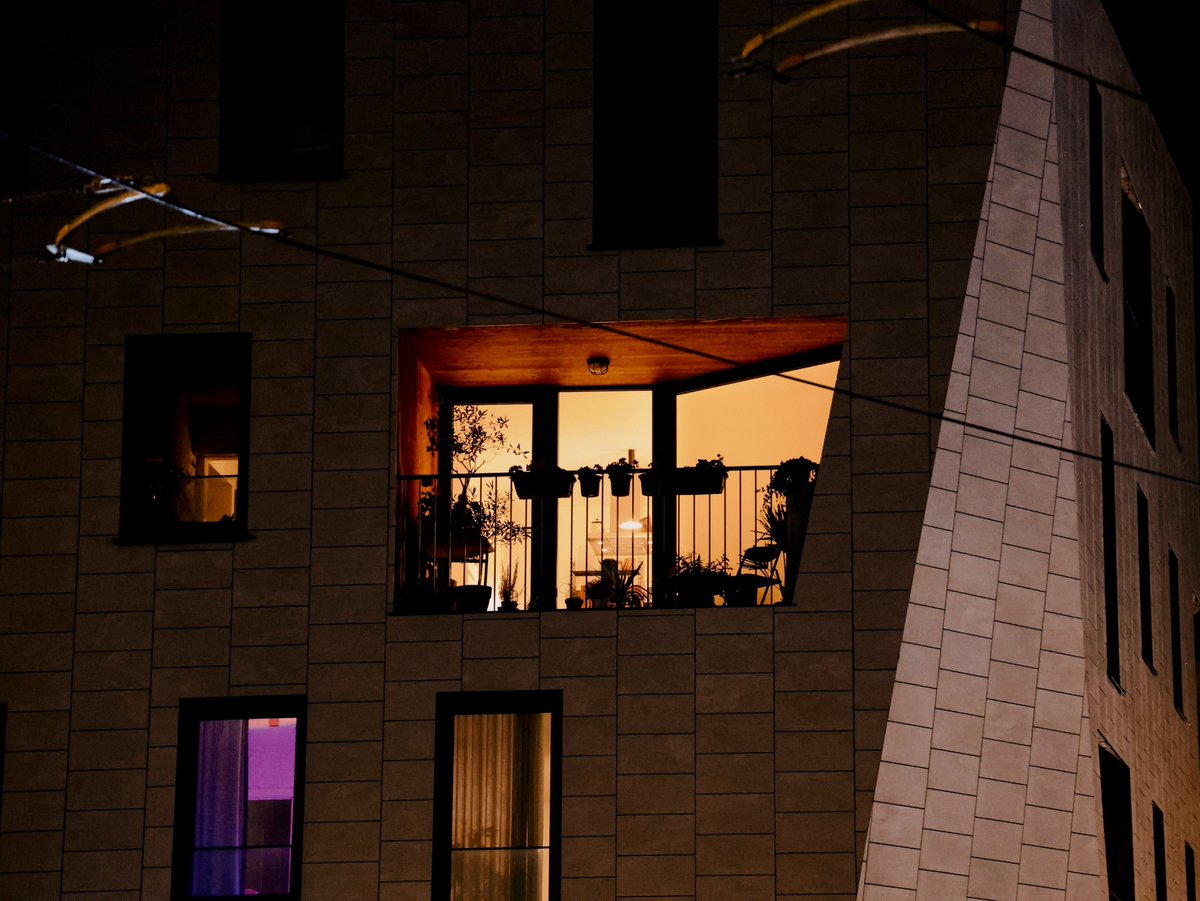 A.couple.of.curiosities tweet media