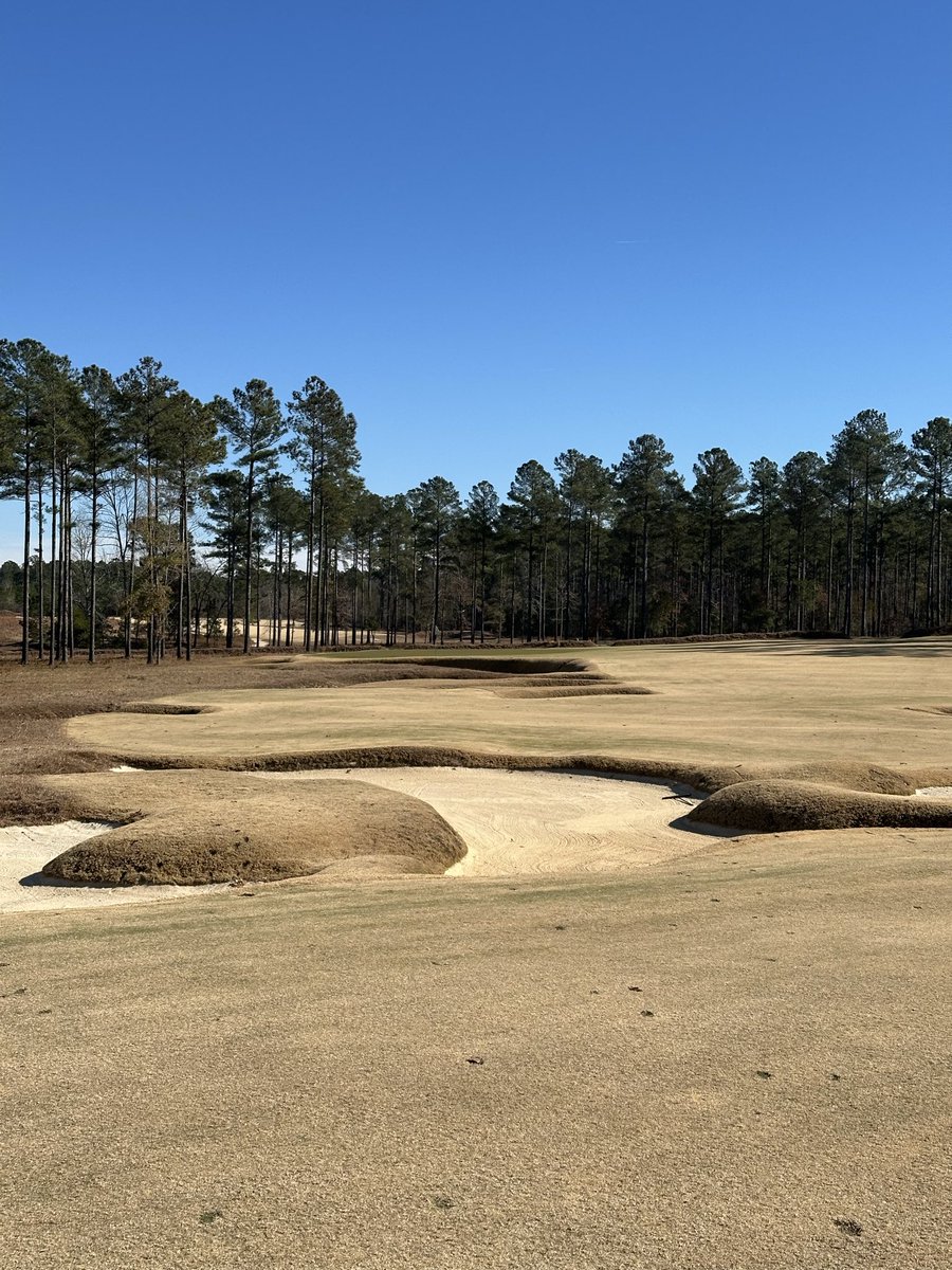 AJ Willy tweet media