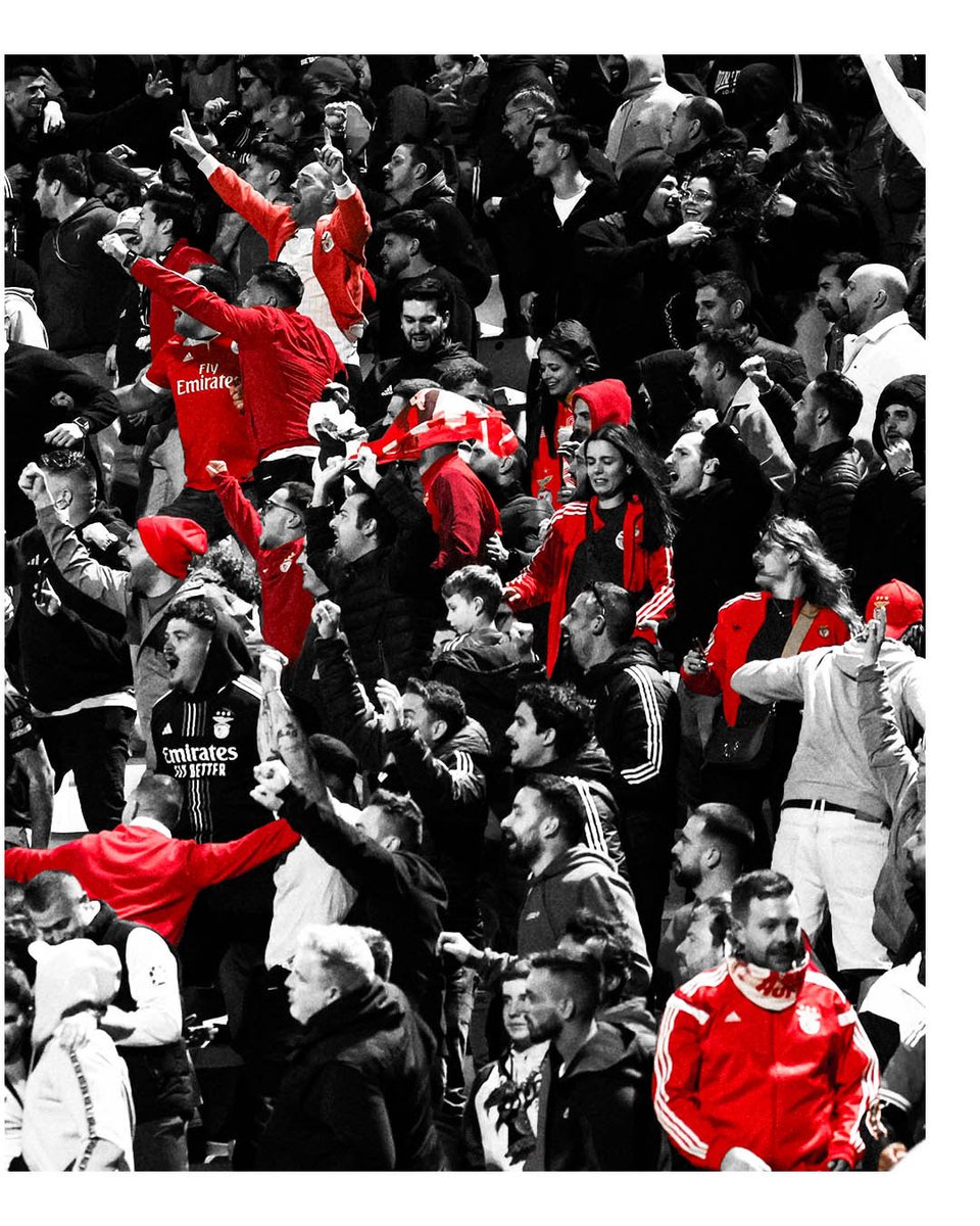 Que bonito é ❤🤍