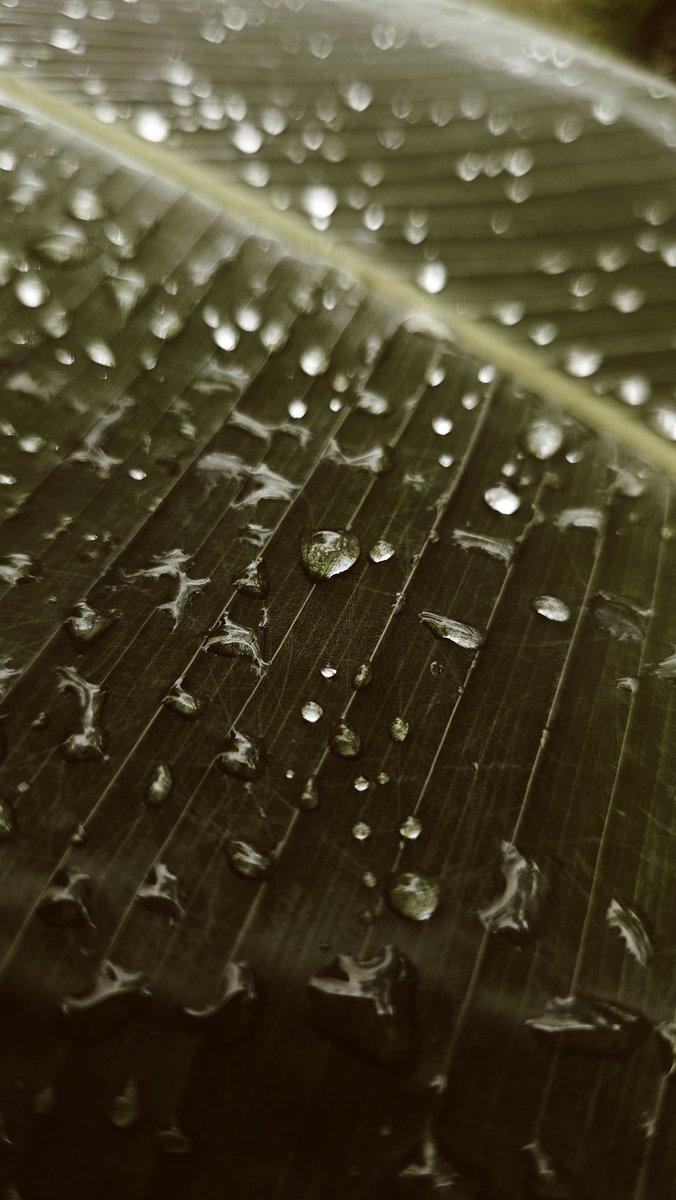 Today was a good day.