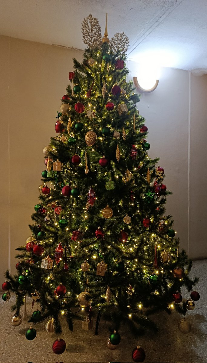 Vengo a presumir 😌

#navidad2025
#FelizSábado mis 👼🏼y😈

🎄♥️☺️