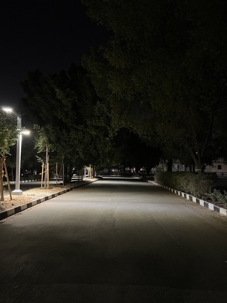 في وصف جميل للمشي، تقول بثينه العيسى:
"المشي هو إلهاء القلب عن نكبته"