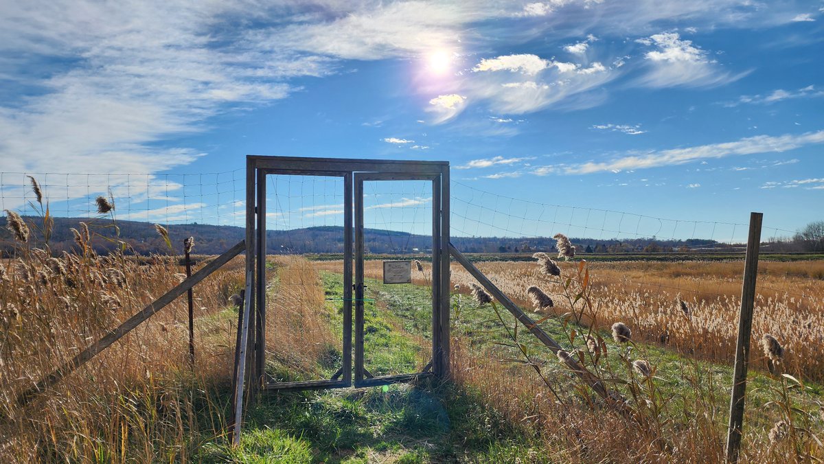 NSValley's tweet image. I went to the @HistoricGardens in Annapolis Royal last week. It's one of my favourite places in the world. It's always changing and showing a new aspect of itself.