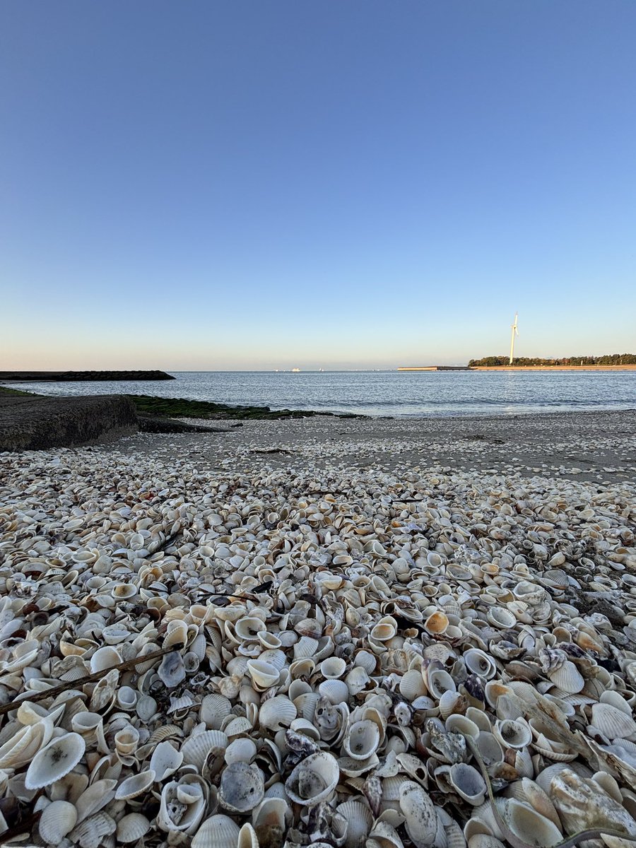 good morning
#冬の海
#海と空