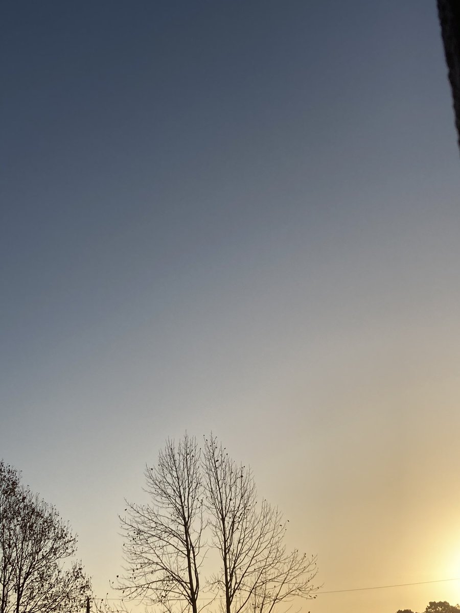 soap_dreamer's tweet image. おはようございます。
11/30(日)もよろしくお願いします。
外気が冷たいと、空のグラデーションがより綺麗に見える気がします。
月の最終日も穏やかに過ごせますように……

#空を見上げて