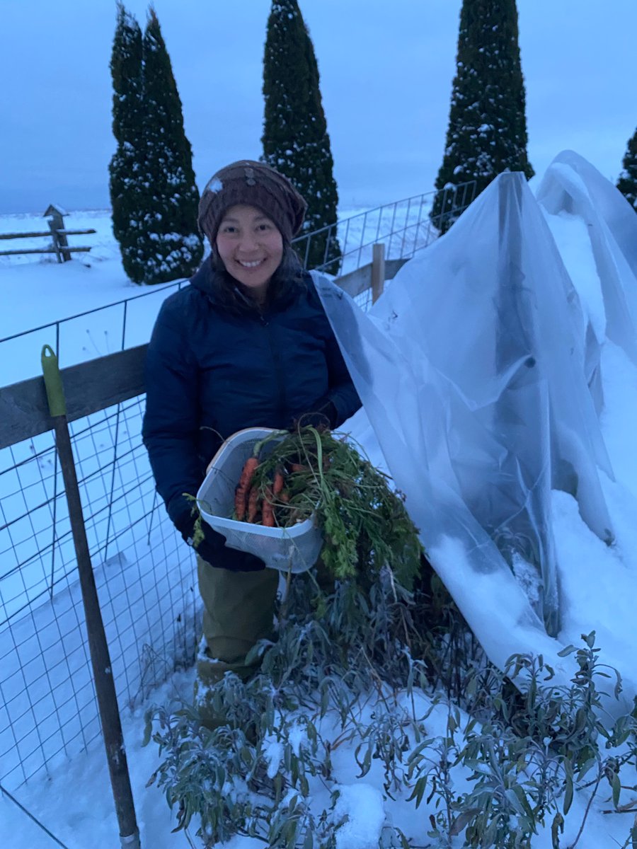 Mike Bonikowsky tweet media