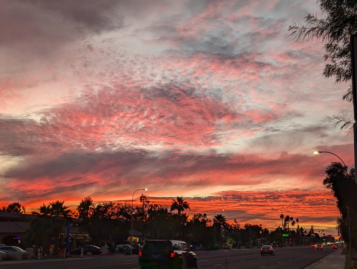 Canna➡️Nyxira tweet media