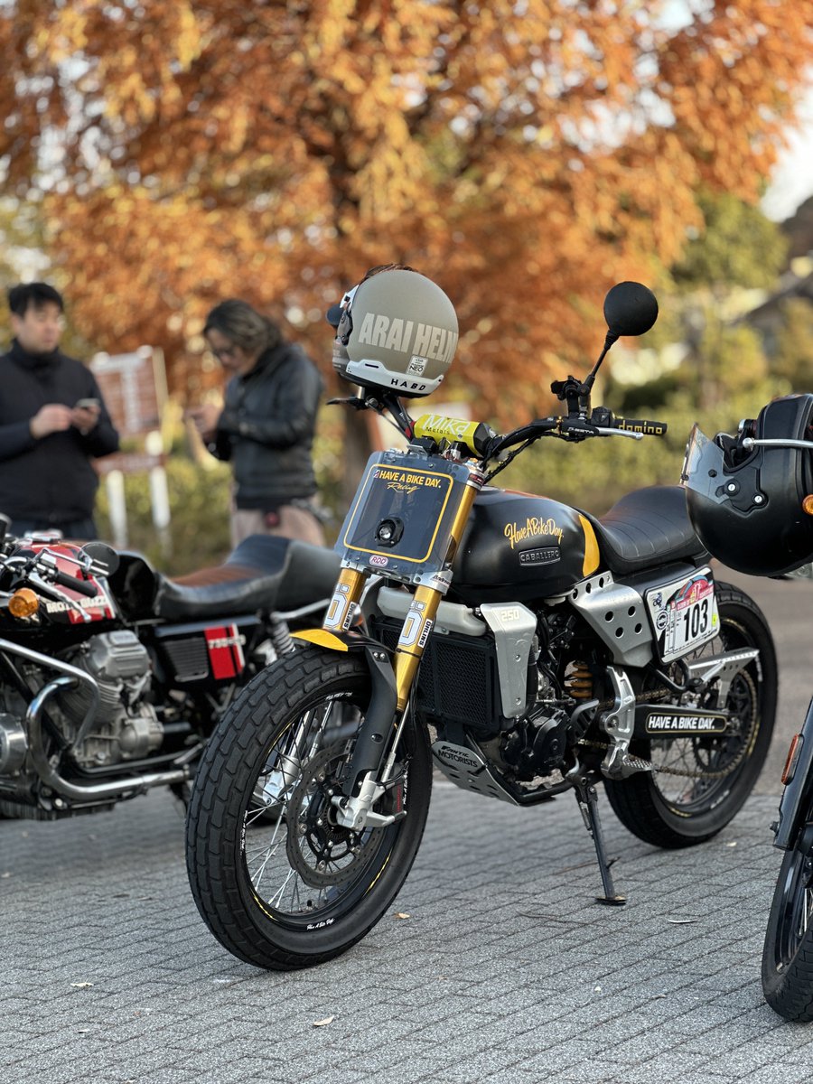 CaspeR👻a.k.aCowpeR💦 (@wanderiderRC390) / Posts / X