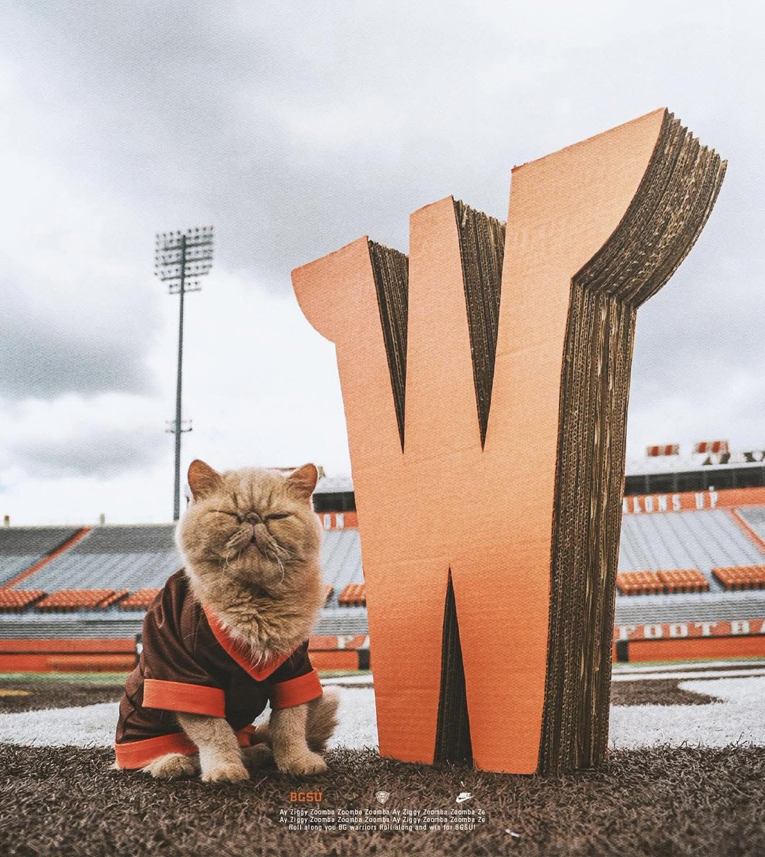 Cal Bowers tweet media