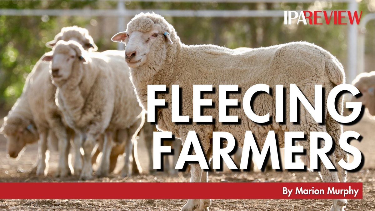 “Livestock industries need the backing of the nation if they are to survive the onslaught of animal activists.”

In the IPA Review, Marion Murphy warns the federal government is actively seeking to destroy agriculture businesses to appease its activist supporters.

Read more: