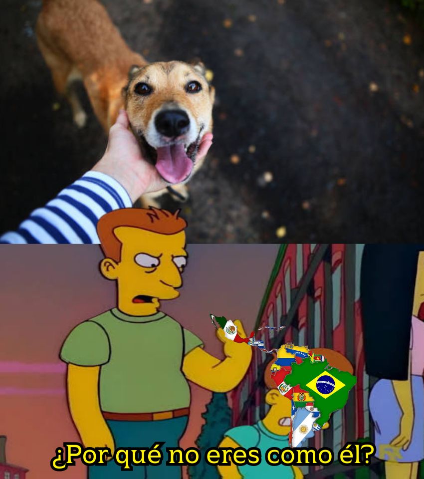 EnsedeCiencia's tweet image. 💥Ejemplo mundial: Países Bajos es el único país del mundo que logró eliminar prácticamente al 100 % los perros callejeros 🇳🇱 

Lo consiguió con esterilización masiva y gratuita (programa CNVR), leyes durísimas contra maltrato y abandono (hasta 3 años de cárcel y 24 500 euros de…