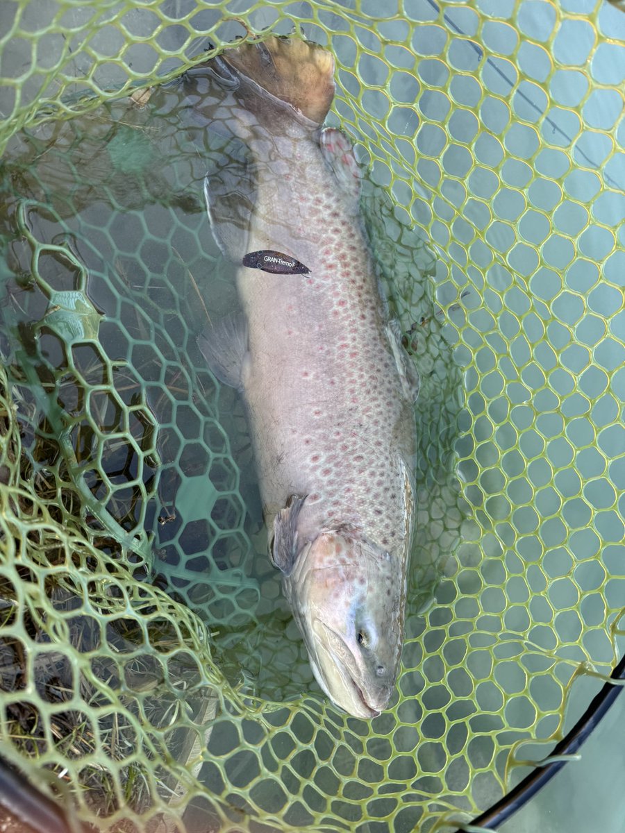 mori3234's tweet photo. 記念すべきファーストフィッシング🎣 https://t.co/dk521T10Vc