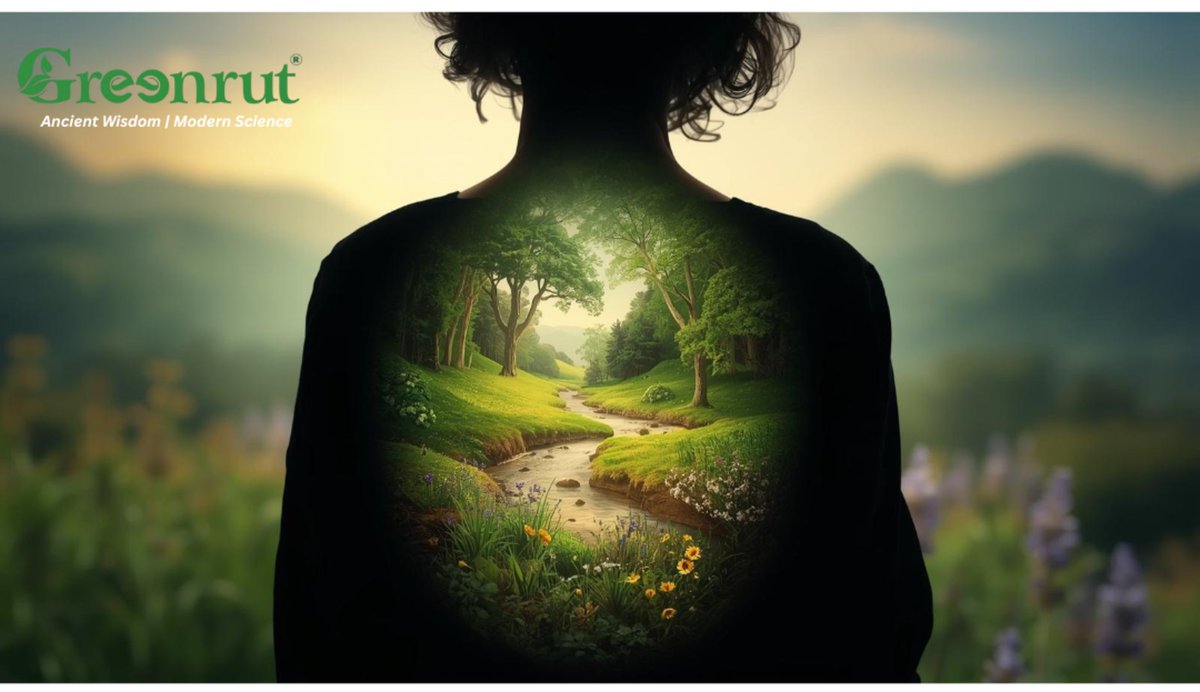 green_rut's tweet photo. Plants are living and active, they constantly sense their environment and alter their biochemistry in response to it. This process is called elicitation, crucial for their medicinal potency.  
https://t.co/dTZMonrClb 
#Greenrut #HerbalMedicine #ModernScience2m https://t.co/JlvtPZA1Fn