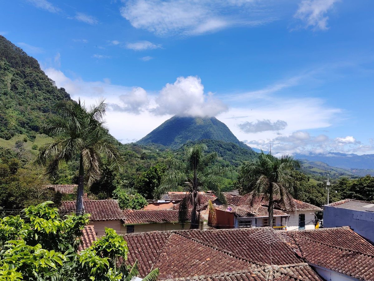 MinAgricultura's tweet photo. 🧵 Es importante mencionar que, en los municipios del suroeste antioqueño donde ya hay #APPAs declaradas (como Fredonia, Venecia y Jericó), y los que están en proceso de declararse, el café será una de las cadenas productivas que se fortalecerá en un trabajo articulado 🫱🏽🫲🏼 entre Gobierno, 🏛️ gremios ☕️ y el campesinado. 👨🏼🌾