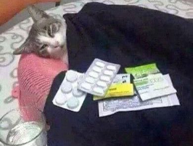 my family is laughing at me cause I got sick after the concert they’ve been saying you act all strong at the gym but as soon as you get your ass on some real work you got sick