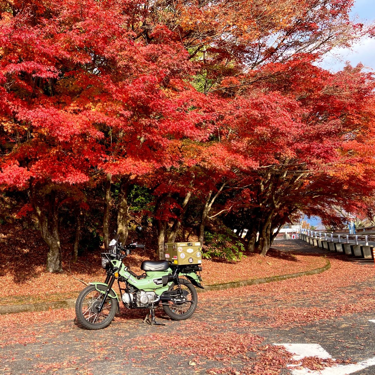 kotarou_hornet's tweet photo. #11月を写真4枚で振り返る
① 奈良カブミーティング
② 4回目の挑戦でようやく晴れた徳島のヘソ
③ 美山から日吉ダムへ向かう道の紅葉
③ 奥琵琶湖パークウェイ・つづら尾崎展望台 https://t.co/4uR2ixDS0C