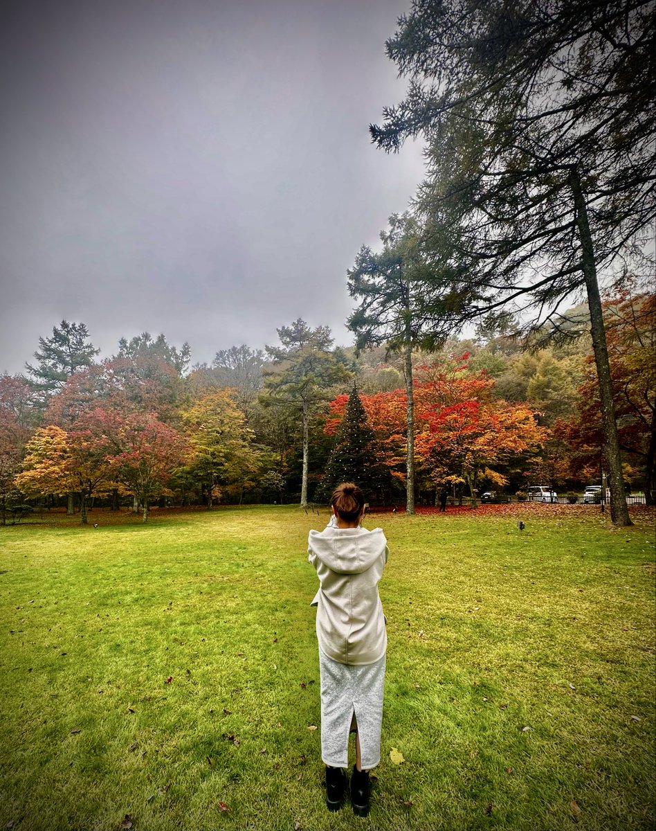 ドローンに機体登録番号貼ってもらったけど、とりあえずありがとう