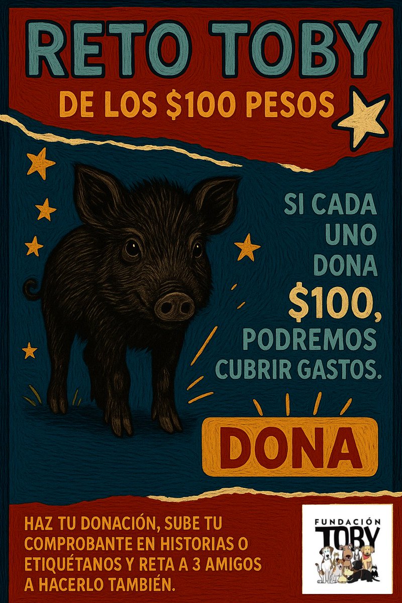 A veces lo único que salva una vida es un gesto pequeño.
Tu donación de $100 puede ser ese gesto hoy.
Únete al Reto Toby y ayudemos juntos a mantener a salvo a los que no tienen a nadie más 💜🩵🐾✨

Cuentas Toby

- BANCOMER
Cuenta: 0117412991
Clabe: 012180001174129915

-