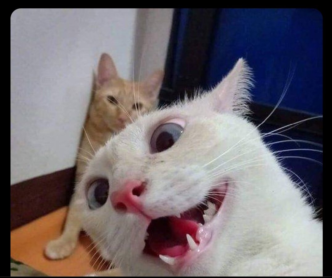 medliaaa's tweet image. Meu Deus, o Ricci vai fazer um extensivo focado 100% no Enem! O divo entrega tudo mesmo 💖