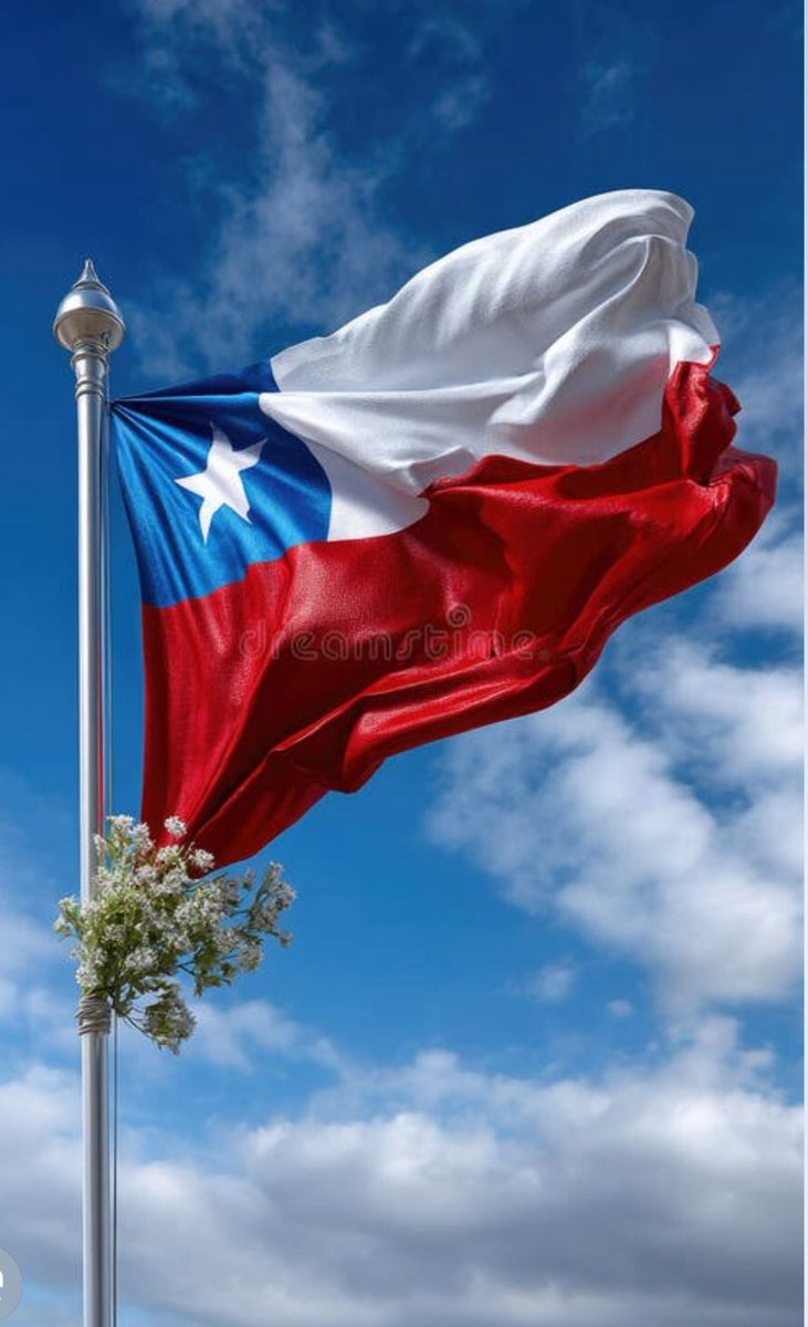 AgoraCl's tweet image. 🎙️¿Quieres conocer y defender lo mejor de Chile?
En @Agora_Chile recuperamos nuestras tradiciones, celebramos nuestra identidad y damos la batalla cultural sin pedir permiso ni agachar la cabeza.
Aquí encontrarás:
•  Historias olvidadas de nuestros héroes. 
•  Huasos, cuecas,…