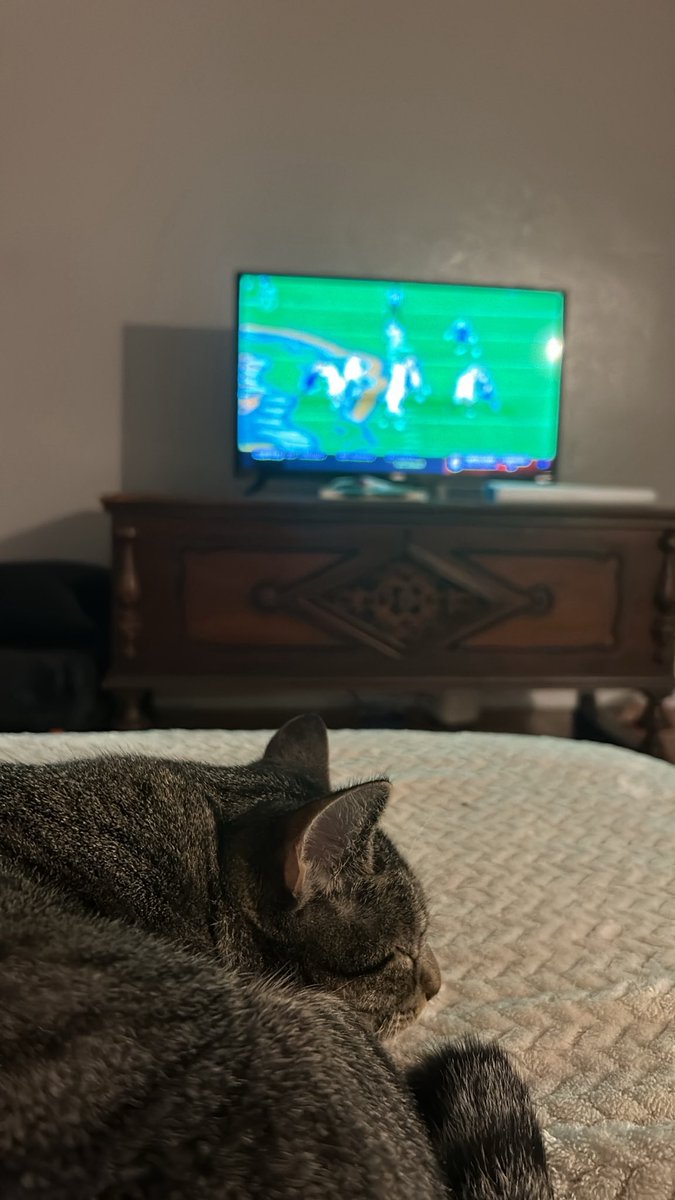 em_fran16's tweet photo. Kitty + Football 🏈 https://t.co/WRRqsYpY62