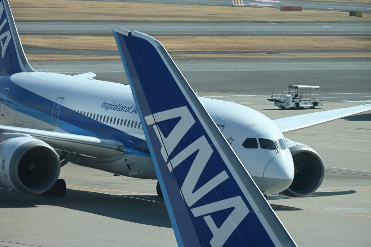 おはようございます。 ANA のスターアライアンス塗装機 を掲載します
