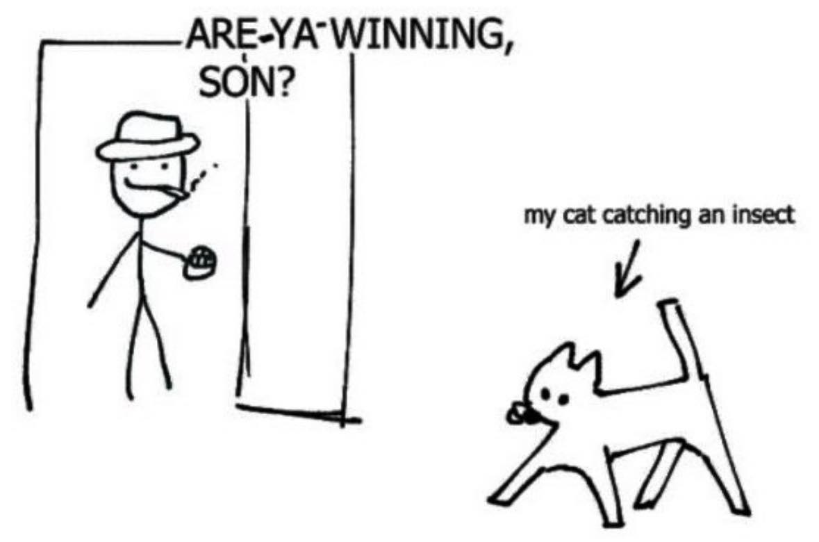 Punch Cat (@punchingcat) on Twitter photo 