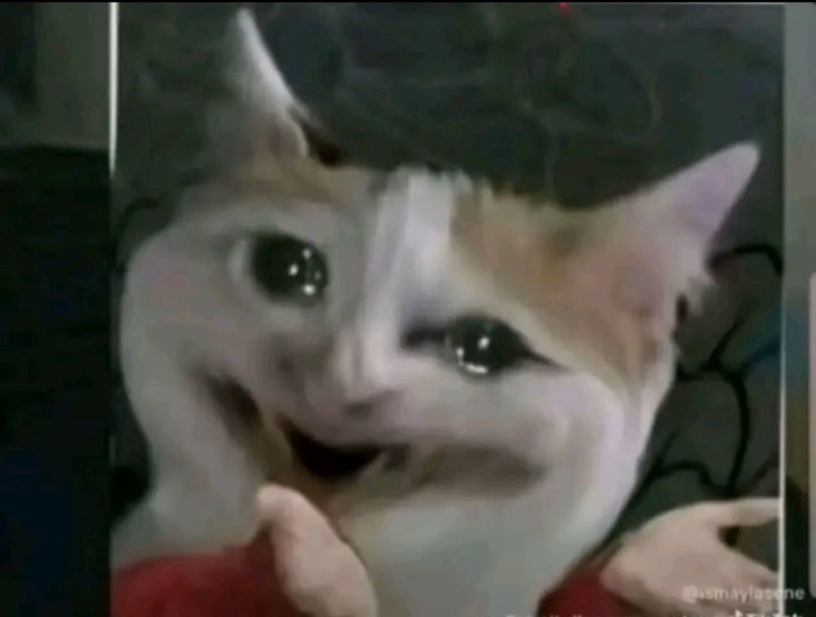 bbuffles tweet media