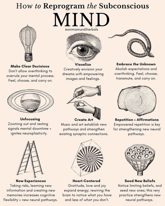 neuronpowers's tweet image. How to Reprogram your Subconscious Mind

Make clear decisions
Visualize
Embrace the unknown
Unfocusing
Create Art
Repetition + Affirmations
New Experience