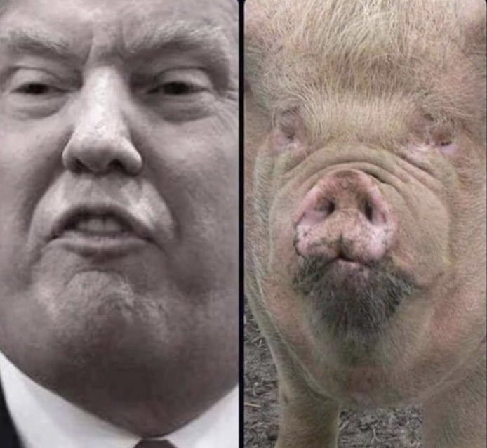 Aes🇺🇸 (@aespolitics1) on Twitter photo 