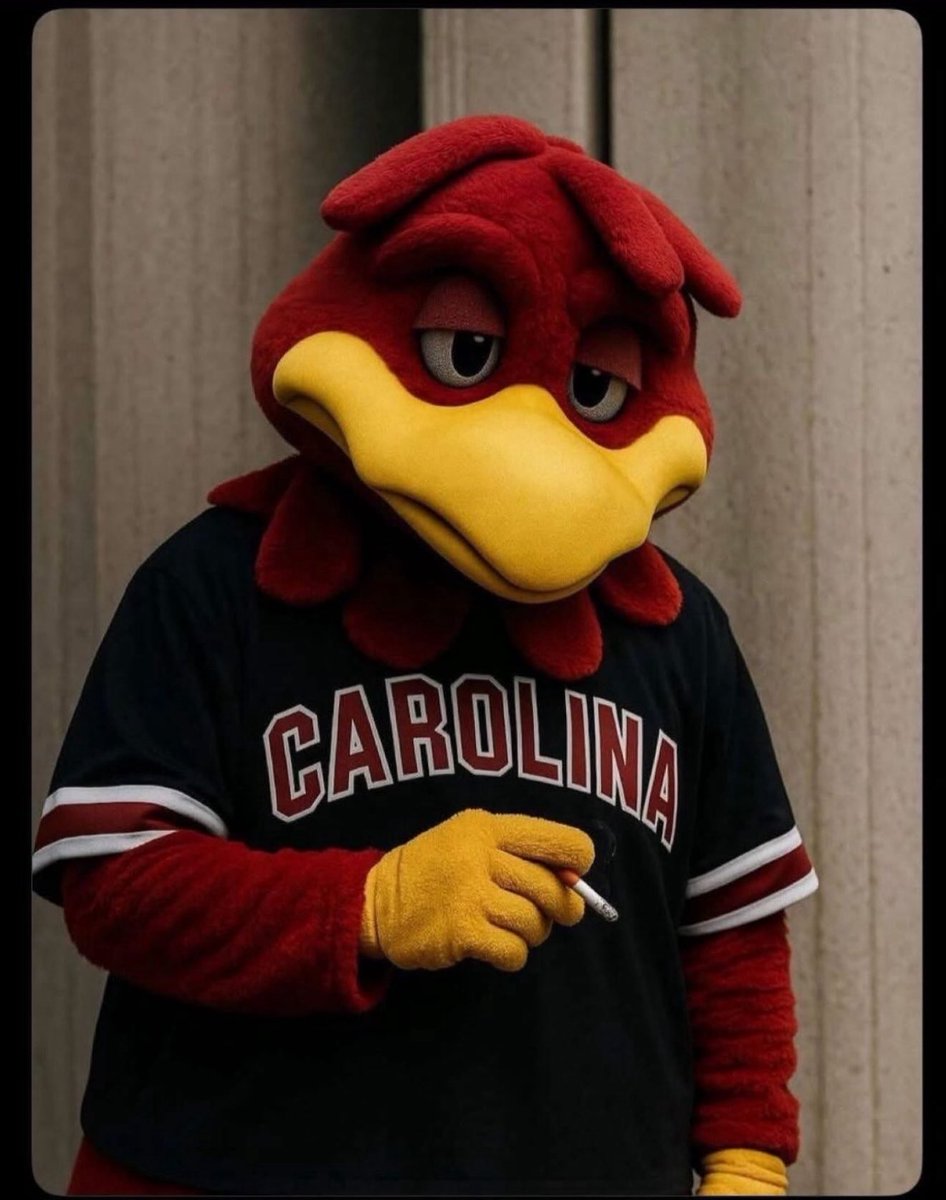 Peter M. McCoy, Jr. (@petermccoyforsc) on Twitter photo 