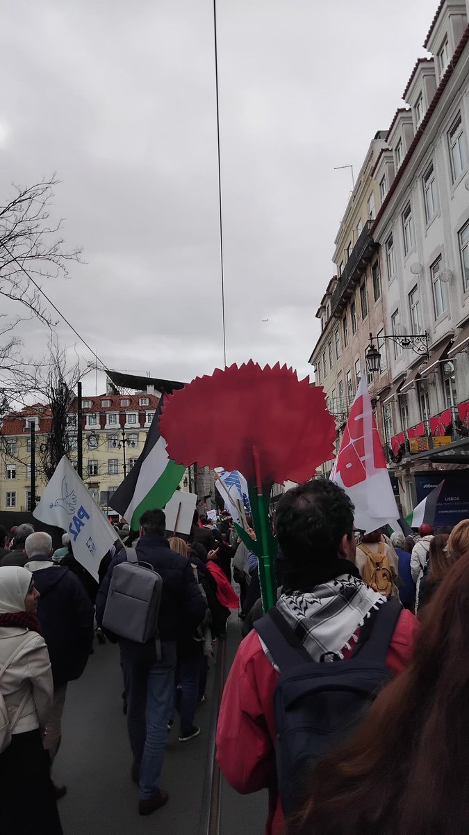 Rsulaiman13's tweet photo. Today in 🇵🇹 courageous, dedicated, and principled beautiful crowds from the solidarity movement in 🇵🇹 took the streets to send a loud message that we are not, we will never be alone in the struggle for justice , freedom and peace ! Mutio obrigada 🙏 https://t.co/DRyPRyfEac