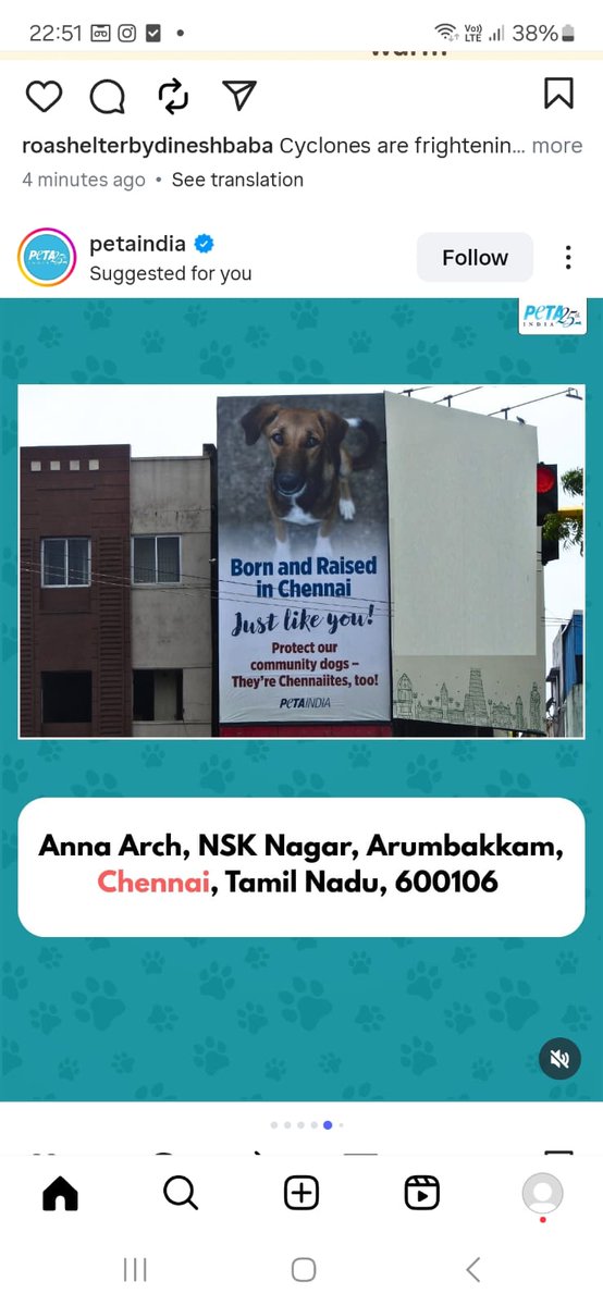 lavanyadeepak's tweet image. Protect our community dogs - they&apos;re Chennaiites too!

Small acts of kindness matter:
- Leave water bowls outside
- Don&apos;t chase them away
- Report cruelty
- Support local feeders

They belong here, just like we do. ❤️ 🐾

#ChennaiDogs #CommunityDogs @PetaIndia