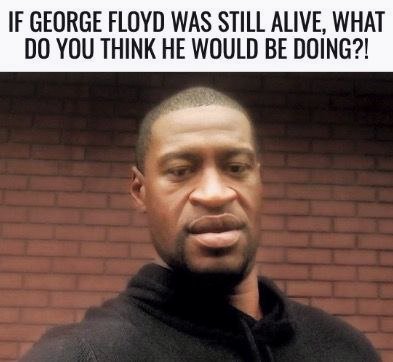 Trumplicans2024.com tweet media