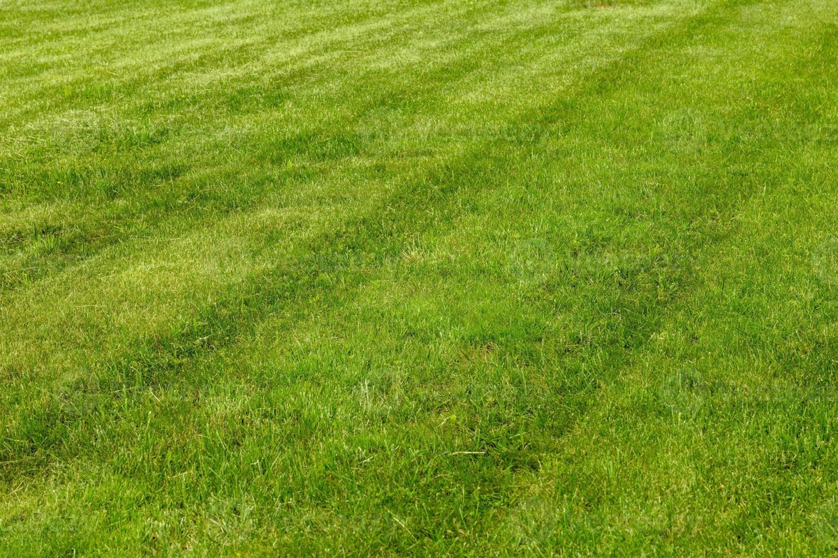 baseposting and grass touching