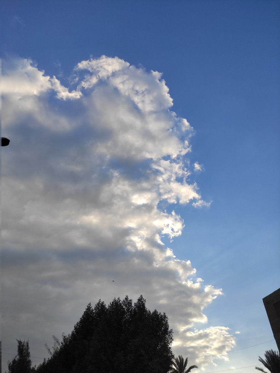 _monall's tweet image. 