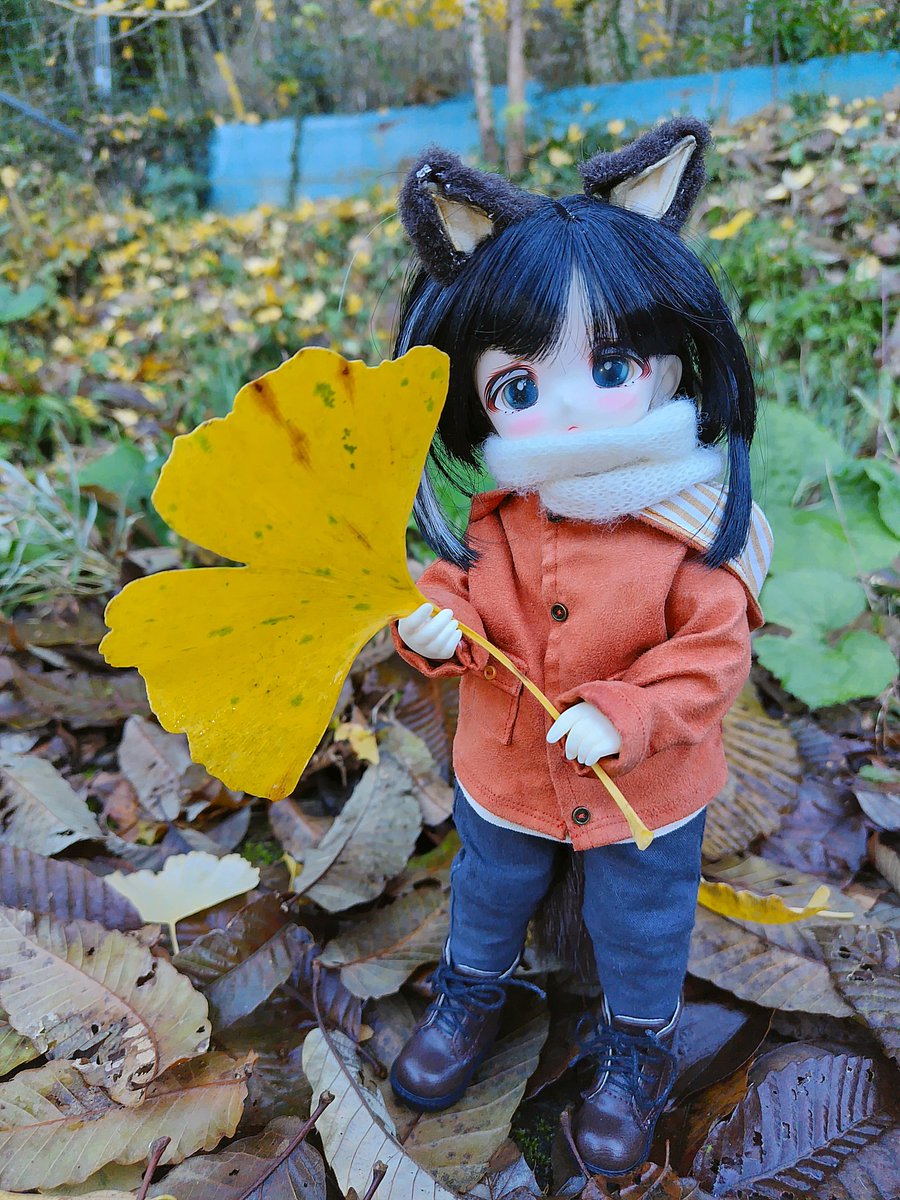 おはようございます(#^.^#)

椿とお散歩しました
気が付けば紅葉も終盤

椿:見て見て！
ボクのお顔より大きいよ！