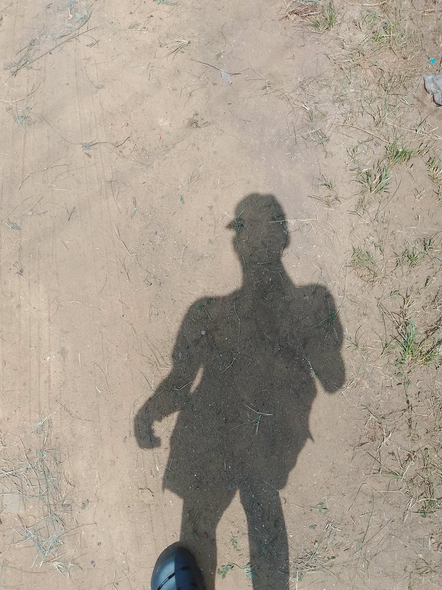 ZoeAlterEgoCode's tweet image. So I did a thing .. 👀