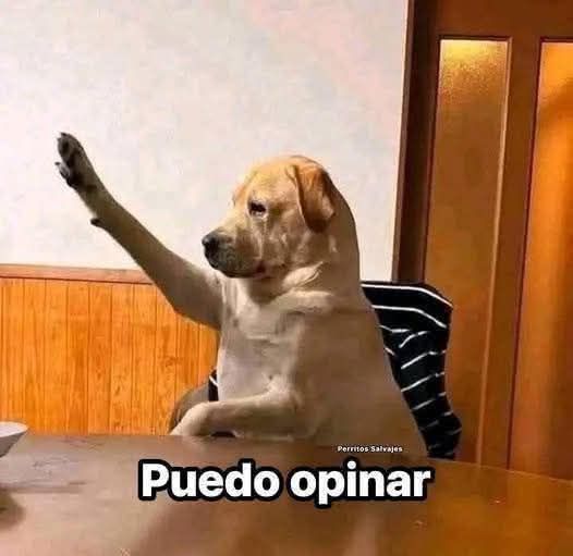 ProgramaNTN's tweet image. 